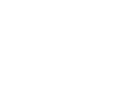 N5 Logo